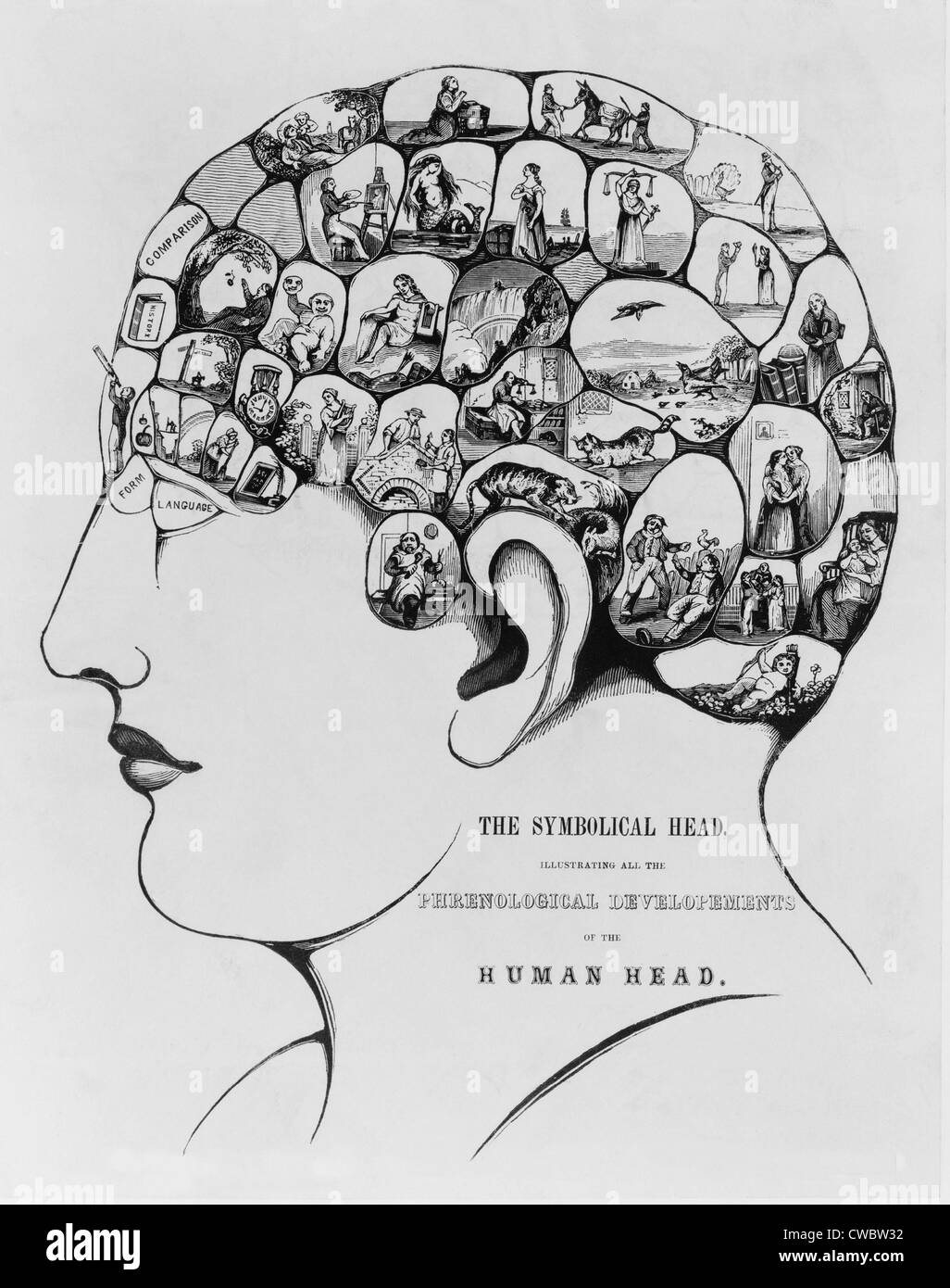 'The Symbolical Head, Illustrating All the Phrenological Developments of the Human Head,' was created by the leading American Stock Photo