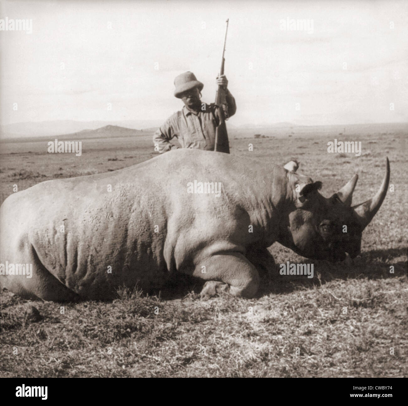 Big Game Animals Killed