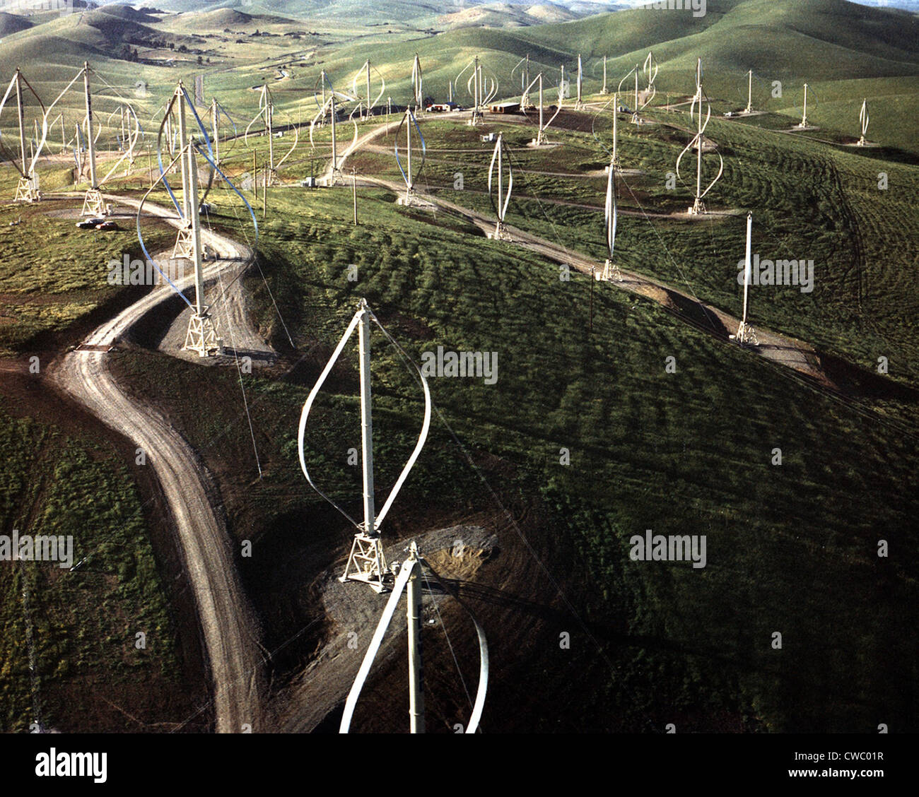 Field of wind turbines in Altamont Pass, California, shows just some of
