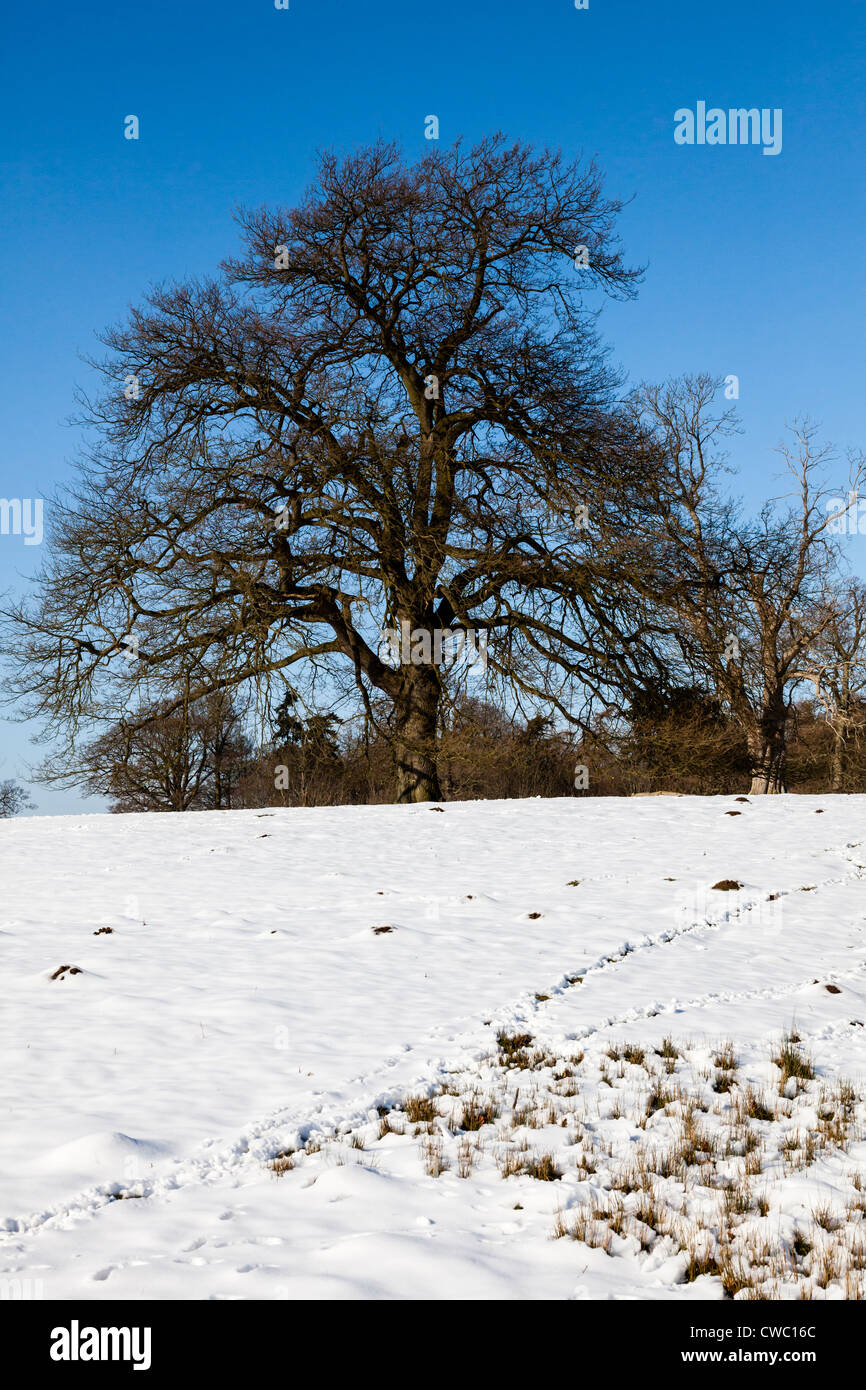 Ashford kent snow hires stock photography and images Alamy