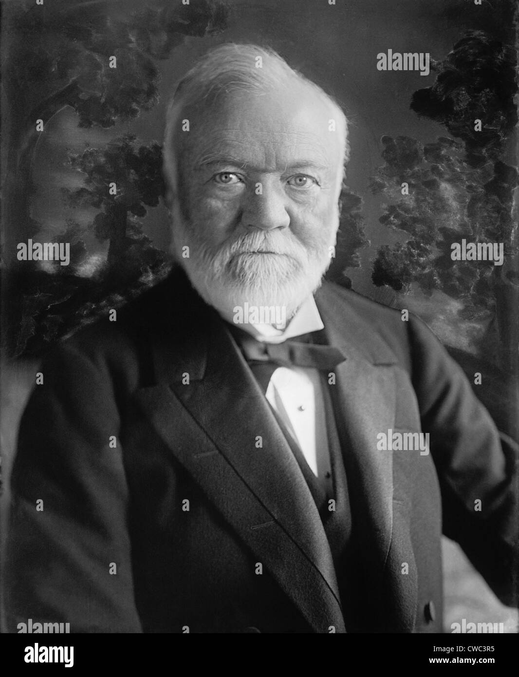 Andrew Carnegie 1835-1919 Scottish-American industrialist and philanthropist. Ca. 1905 (BSLOC 2010 18 6) Stock Photo