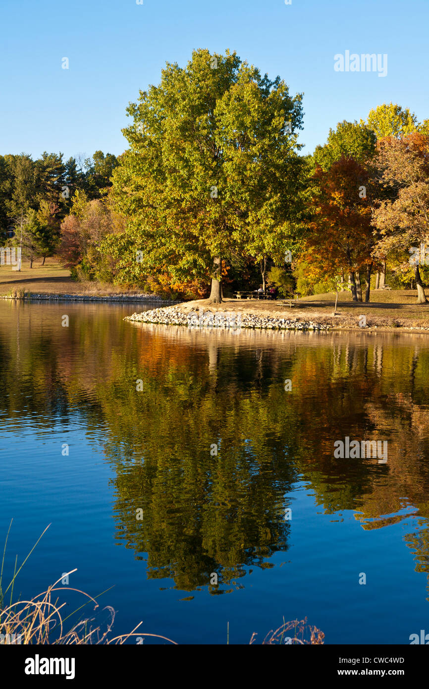 Colorful Autumn trees reflecting bright fall colors in lake at West Boggs Park near Loogootee in Southern Indiana Stock Photo