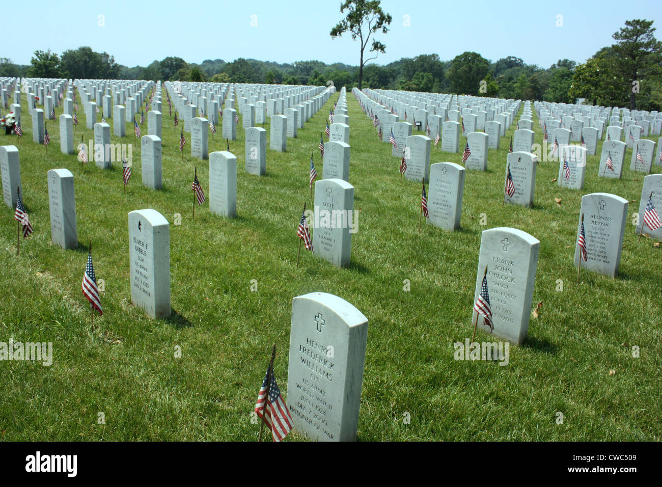 Flags at gravesites in Arlington National Cemetery for Memorial Day ...