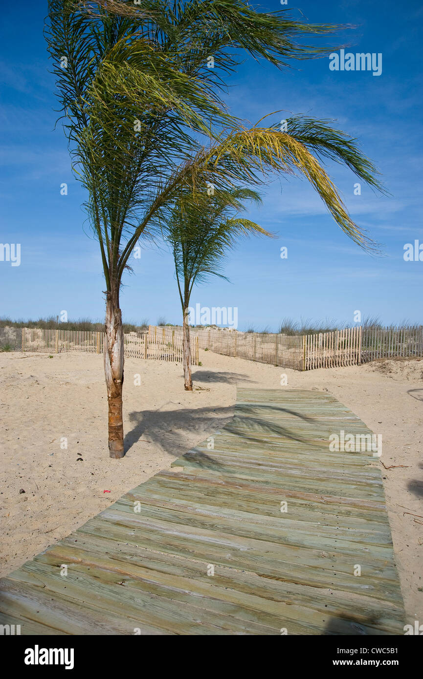Boardwalk, Beach & Dunes, Ocean City Maryland USA Stock Photo