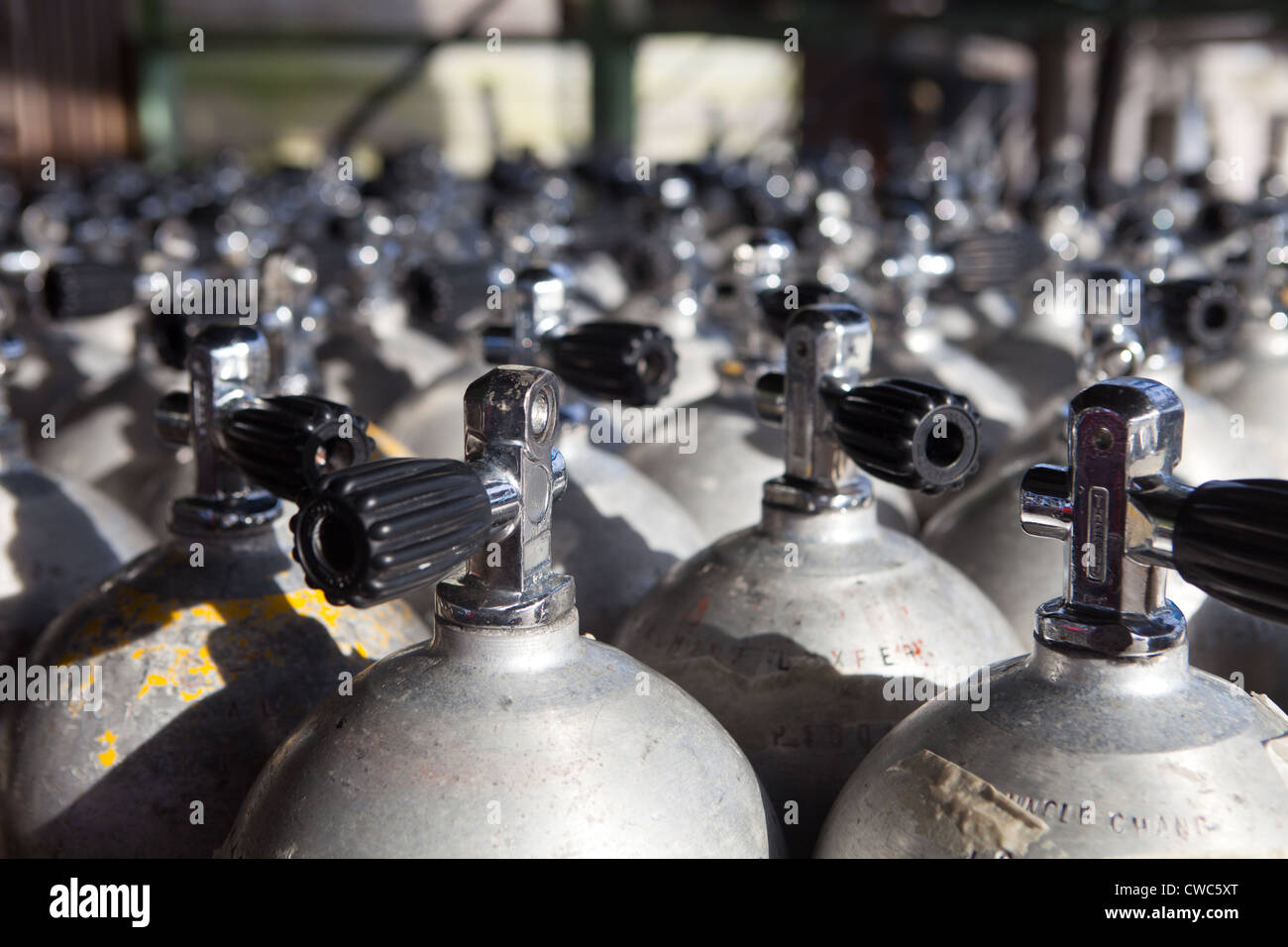 scuba diving air tank Stock Photo Alamy
