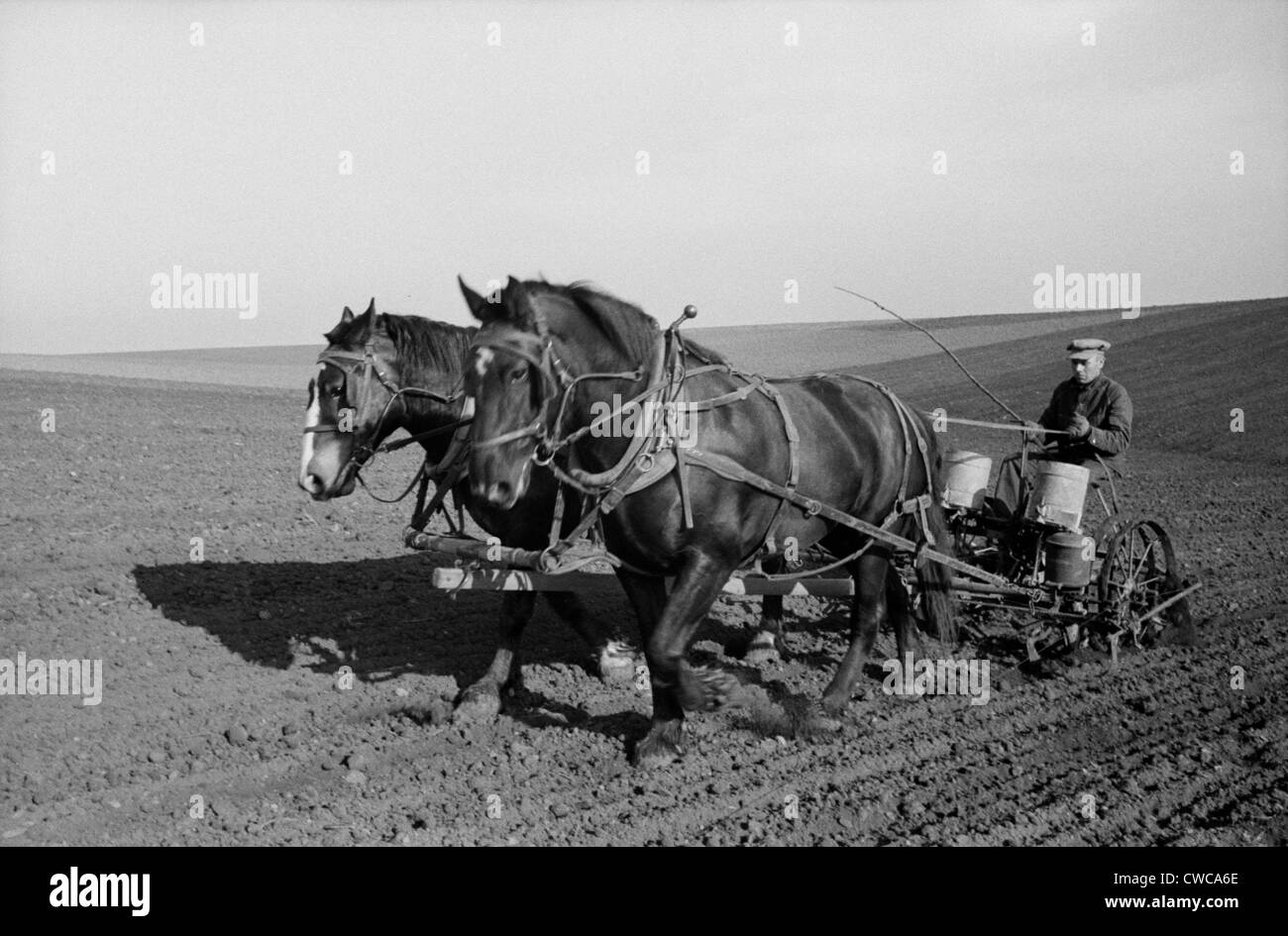 Spring corn planting in Jasper County, Iowa. Two large work horses pull the farmer and his seed drill across the vast field. Stock Photo
