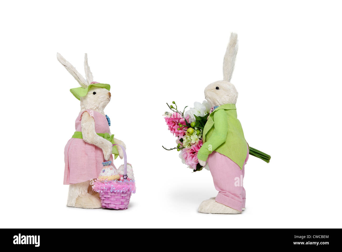 Side view of male Bunny with flower bouquet and female Rabbit over white background Stock Photo