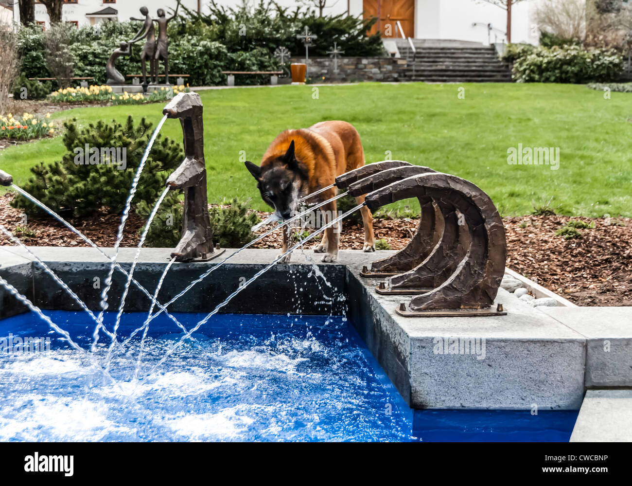 A dog drinking from a fountain Stock Photo Alamy