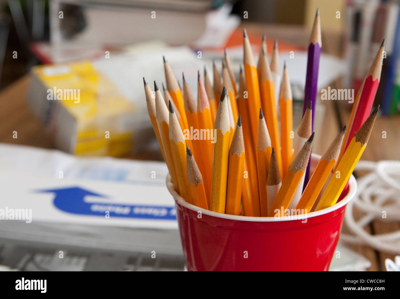 Red plastic cup full of sharpened #2 wood lead  pencils Stock Photo