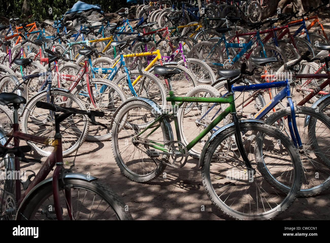 Bicycles for rent at the ruins of Coba, Mexico. Stock Photo