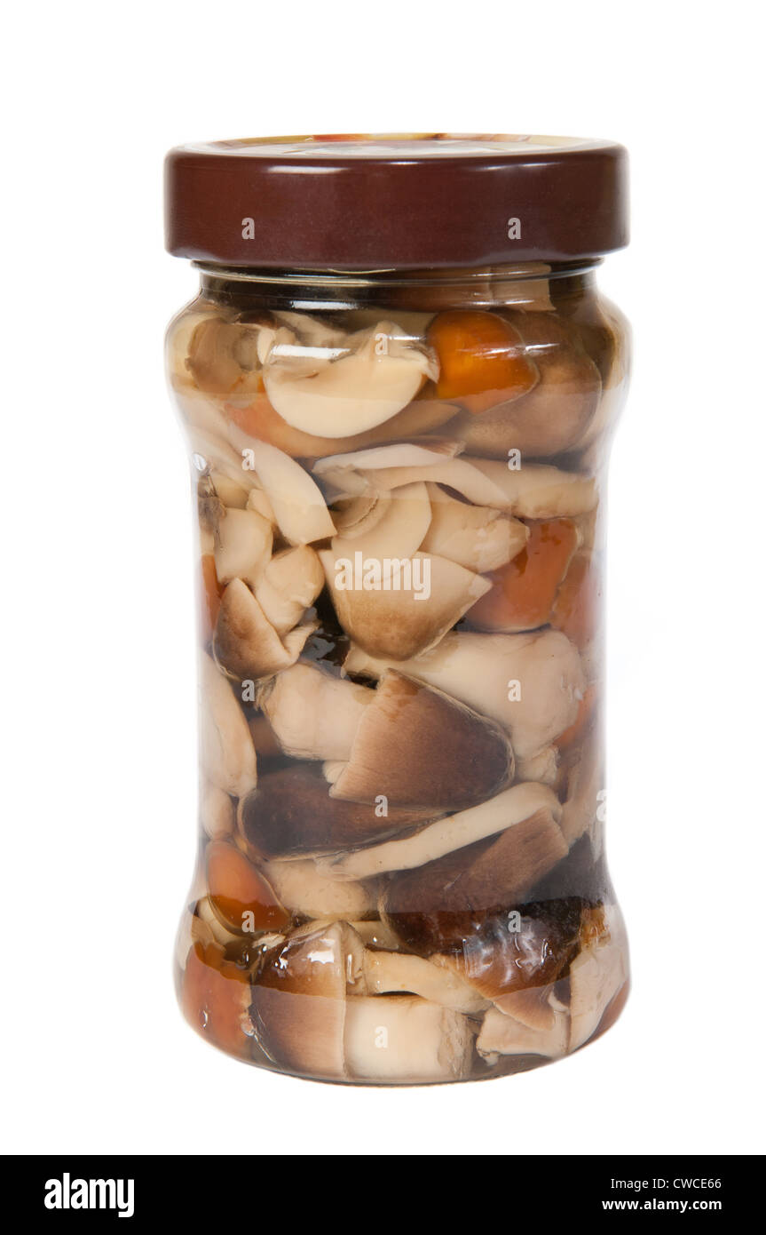 Glass jar of preserved mushrooms on white background Stock Photo Alamy