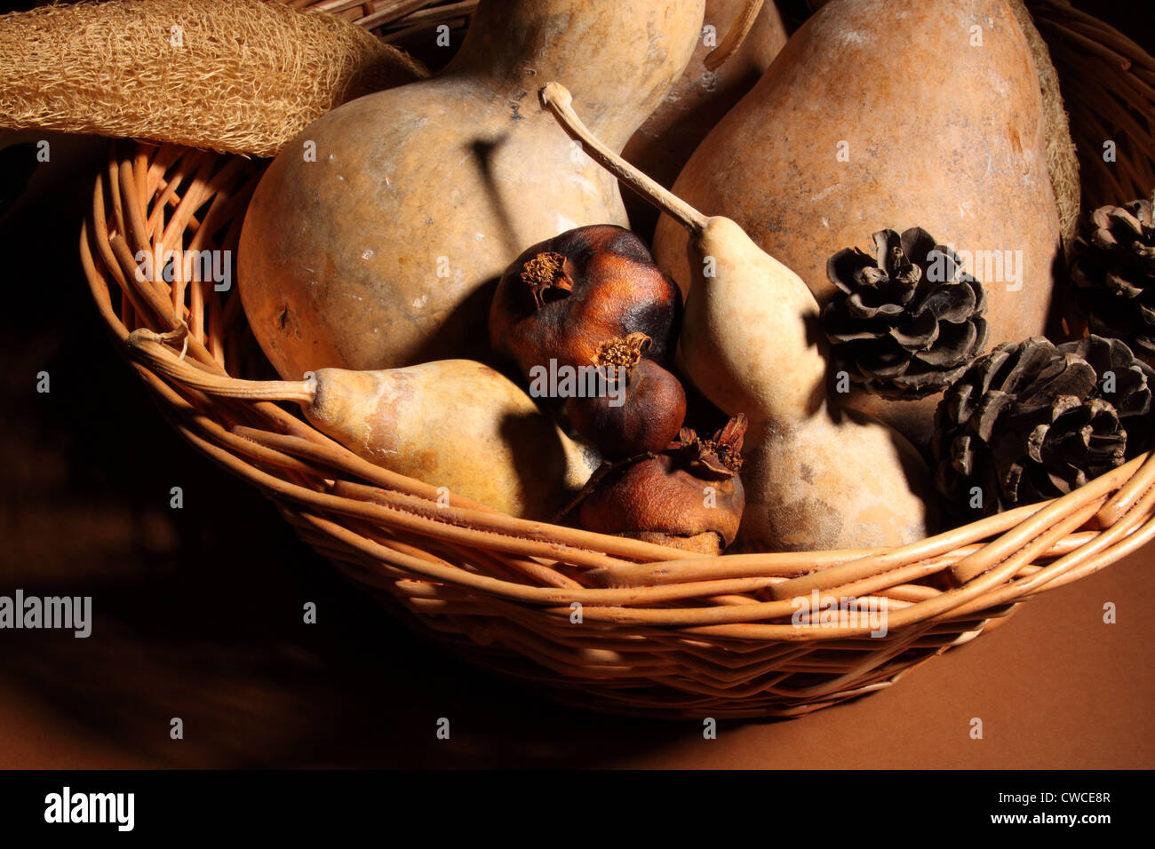 A dry rot cucurbit and some Seasonal nuts in a basketry. Stock Photo