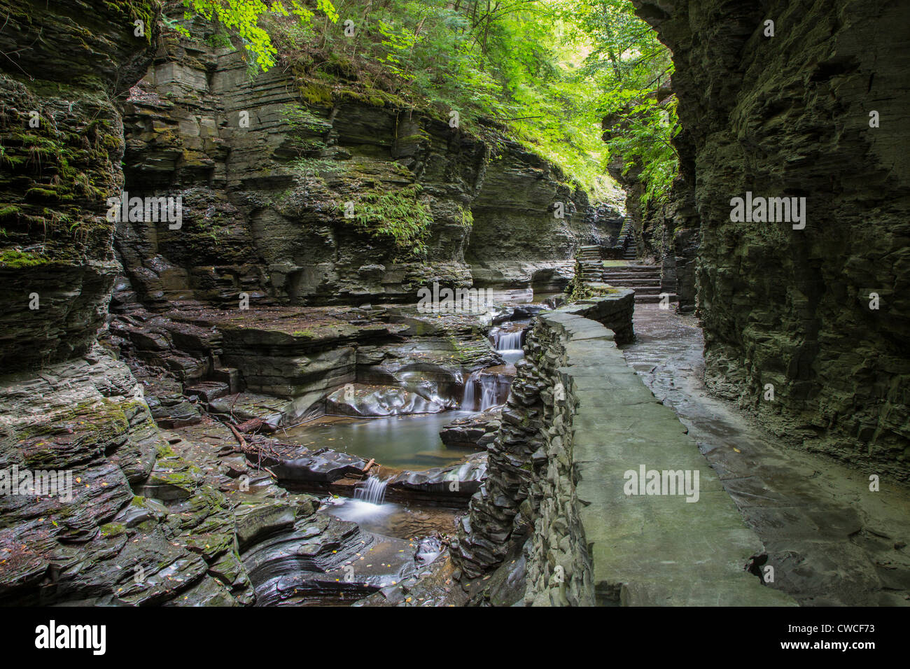 Steep rocky gorge and waterfalls in Watkins Glen State Park in the Finger Lakes region of New York State Stock Photo