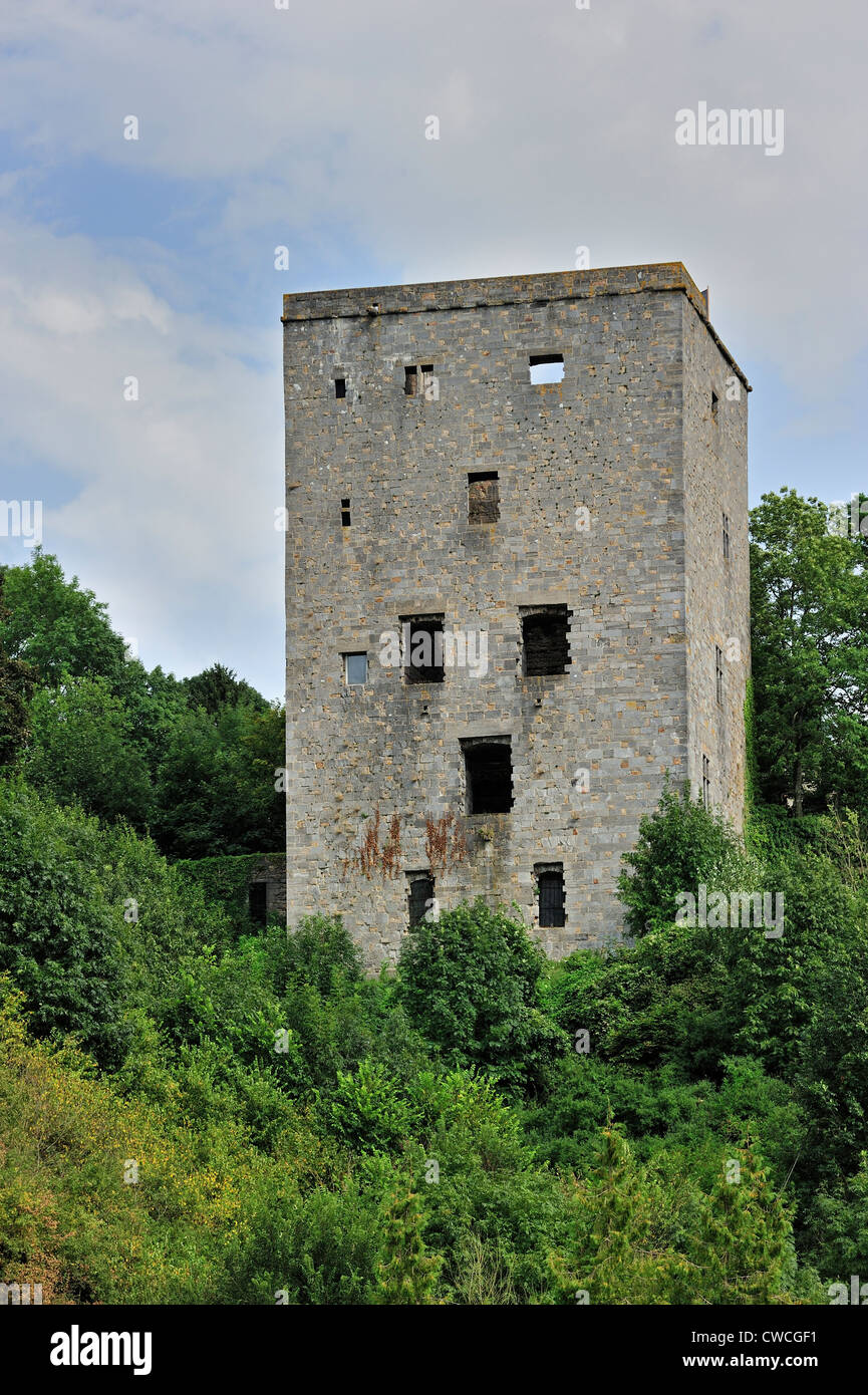 The medieval keep Tour Salamandre / Salamander Tower at Beaumont, Hainaut,  Wallonia, Belgium Stock Photo - Alamy