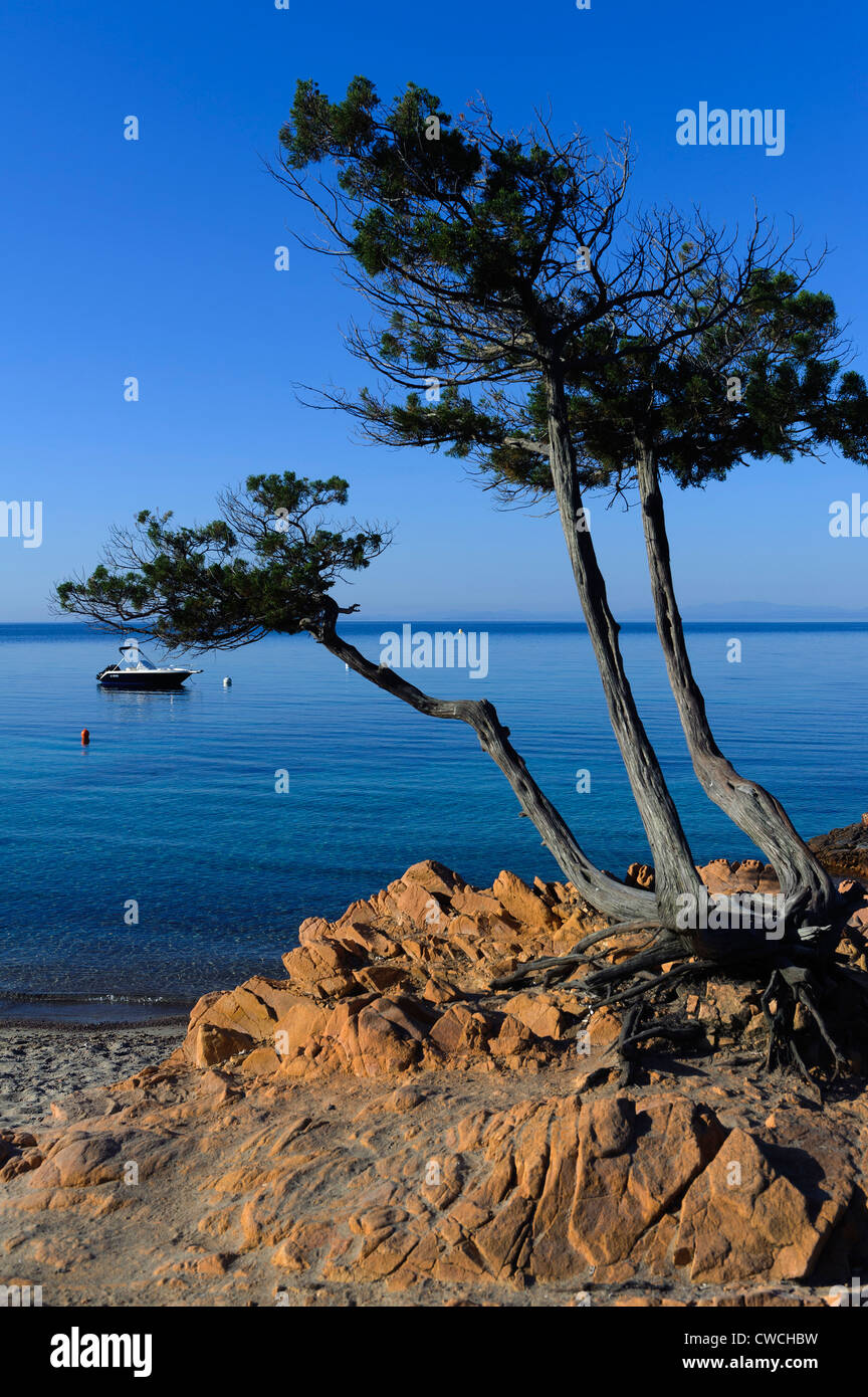 Plage De Palombaggia Near Portovecchio Corsica France