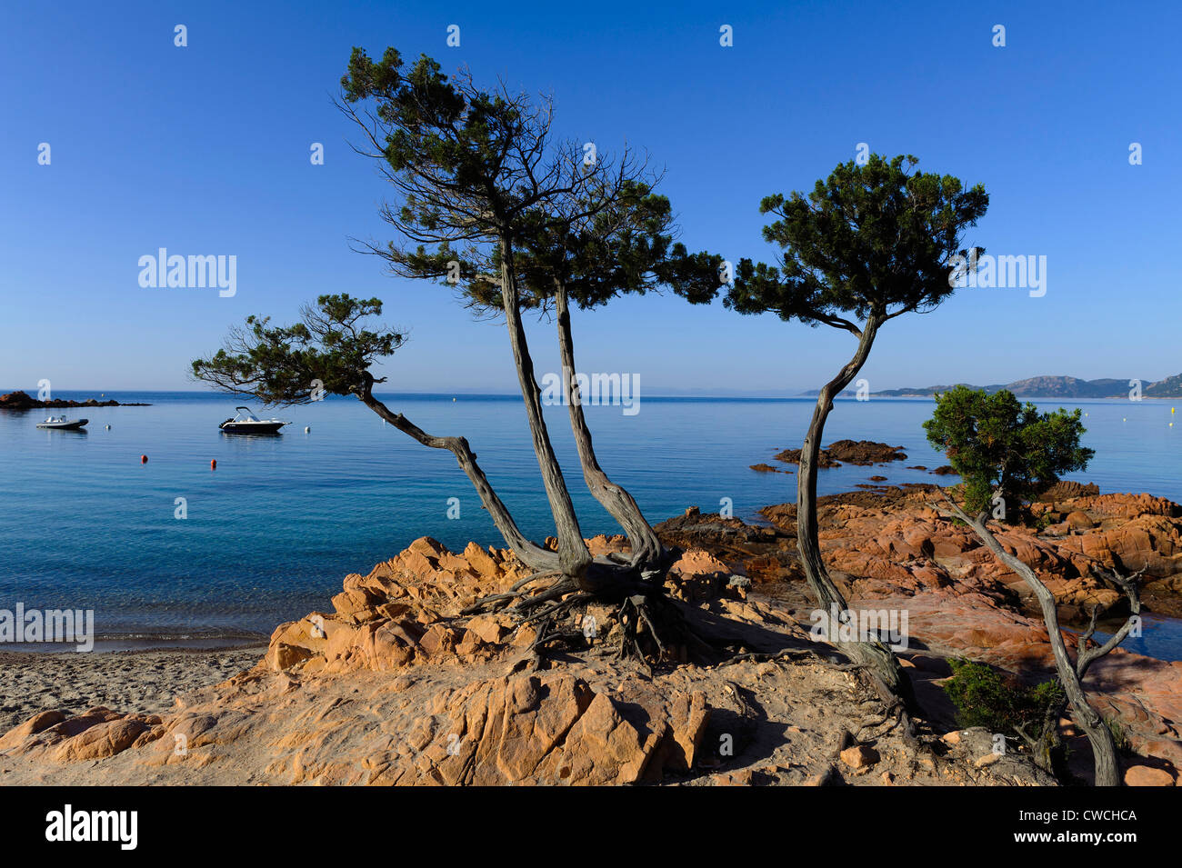 Plage De Palombaggia Near Portovecchio Corsica France