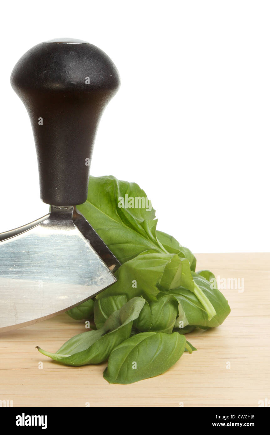 Closeup of a herb chopping knife and basil on a wooden board with a white background Stock Photo