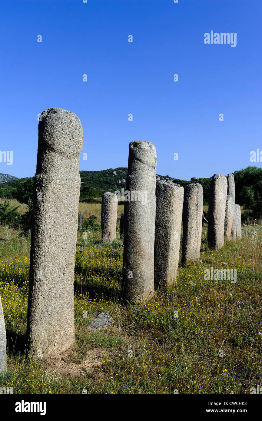 Neolithic excavations of  Cauria, Menhirs Alignement d' Stantar, Corsica, France Stock Photo