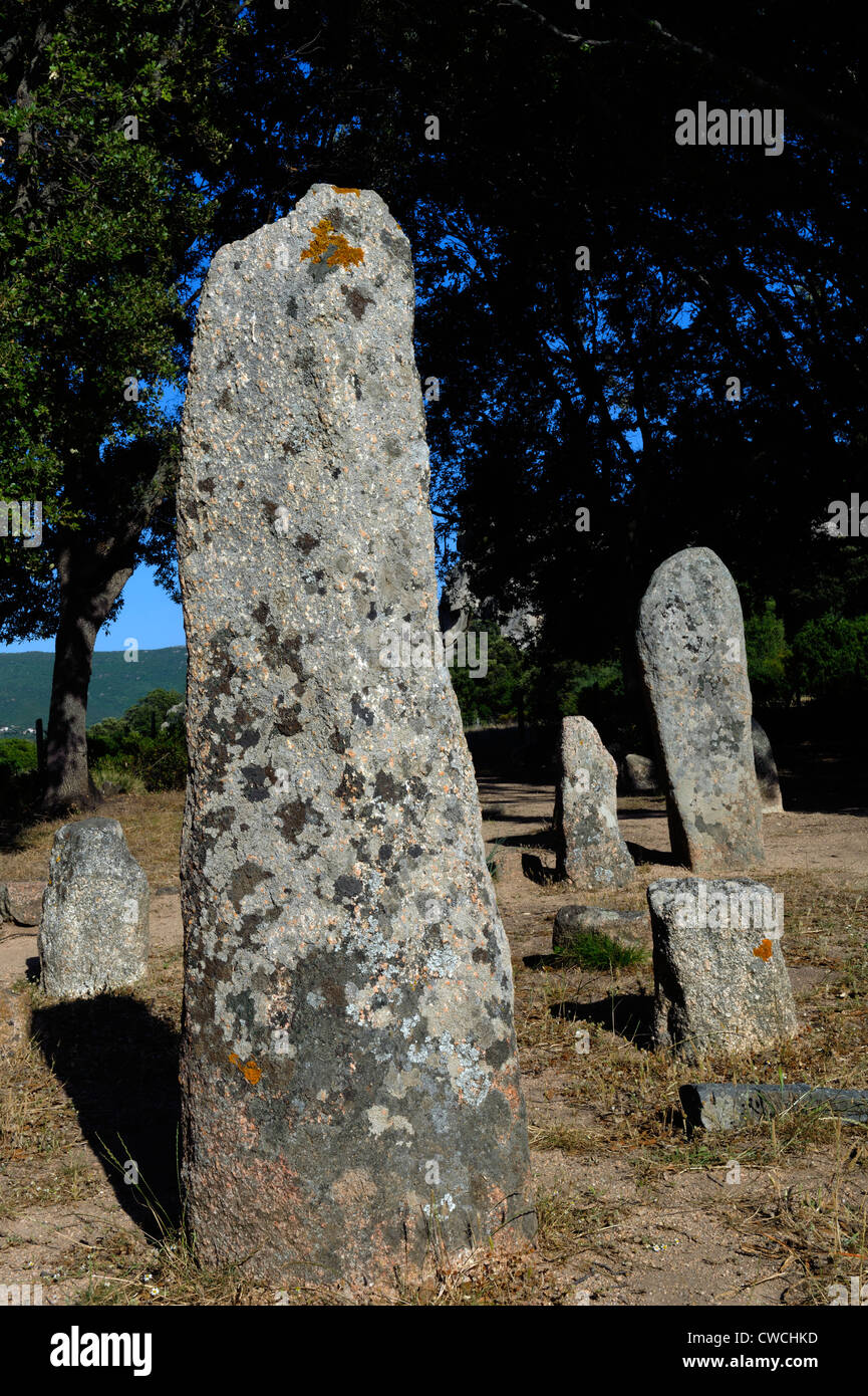 Neolithic excavations of  Cauria, Menhir Alignement de Renaghju, Corsica, France Stock Photo