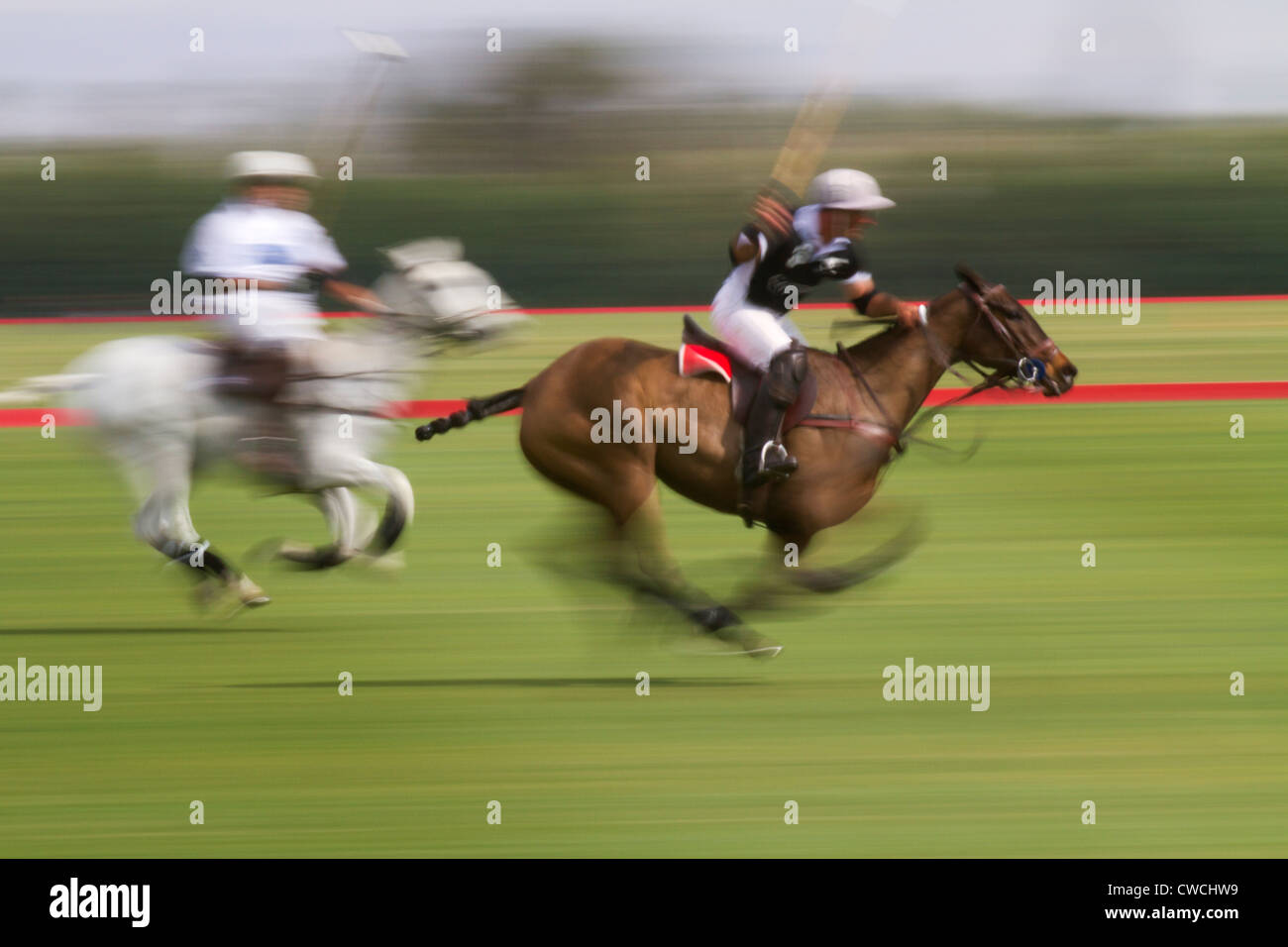 Polo players at the Empire Polo Club, Indio, California Stock Photo Alamy