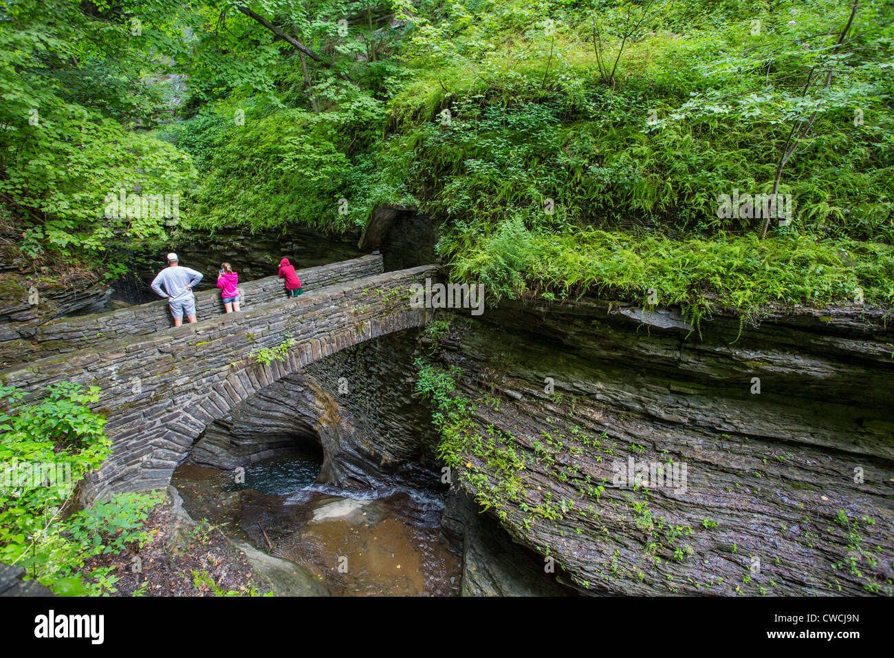 Steep rocky gorge and waterfalls in Watkins Glen State Park in the Finger Lakes region of New York State Stock Photo