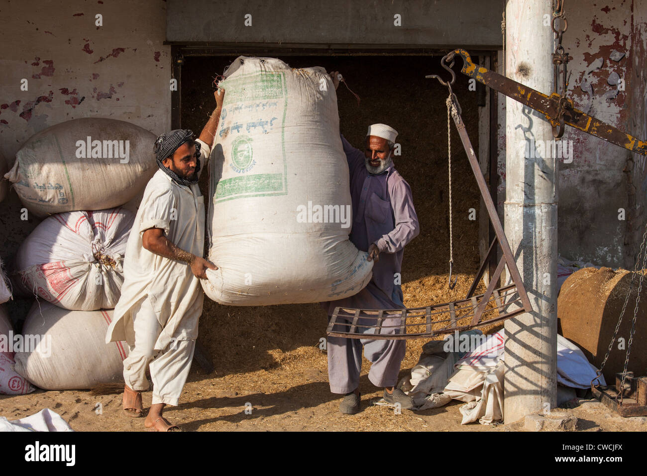 Muslim men weighing feed on the outskirts of Islamabad, Pakistan Stock Photo