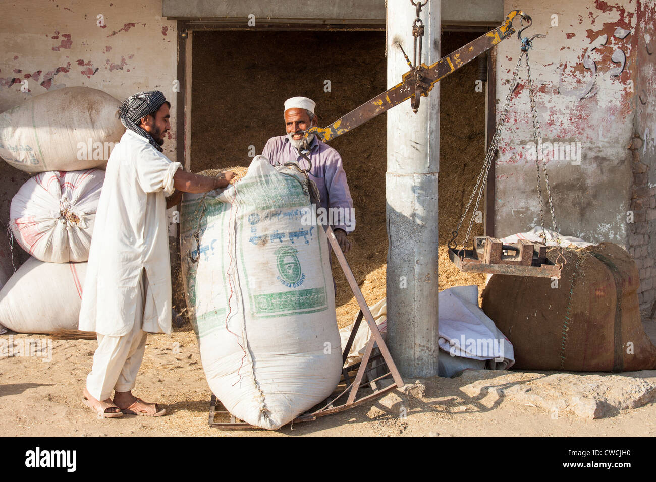 Muslim men weighing feed on the outskirts of Islamabad, Pakistan Stock Photo