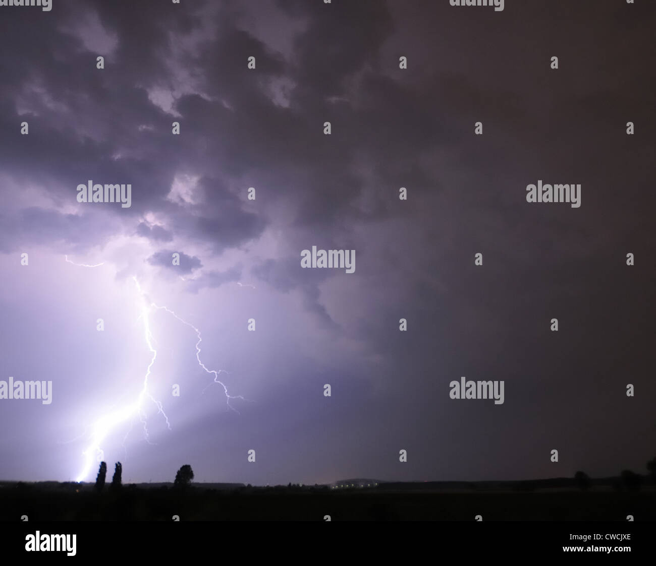 Lightning strikes at the horizon near two trees. Stock Photo