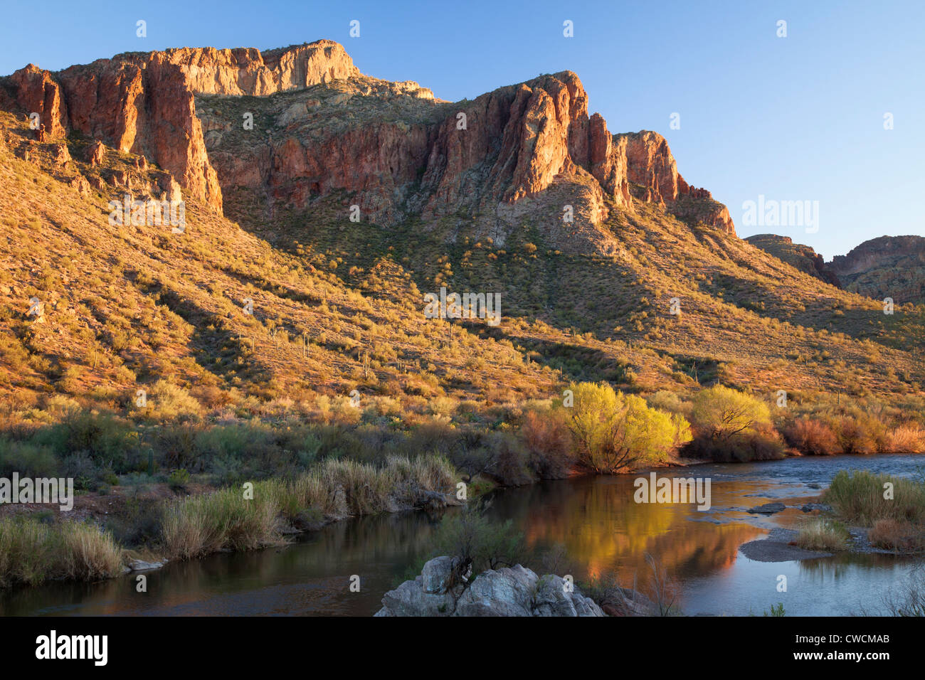 The Salt River, Tonto National Forest, East of Phoenix, Arizona Stock