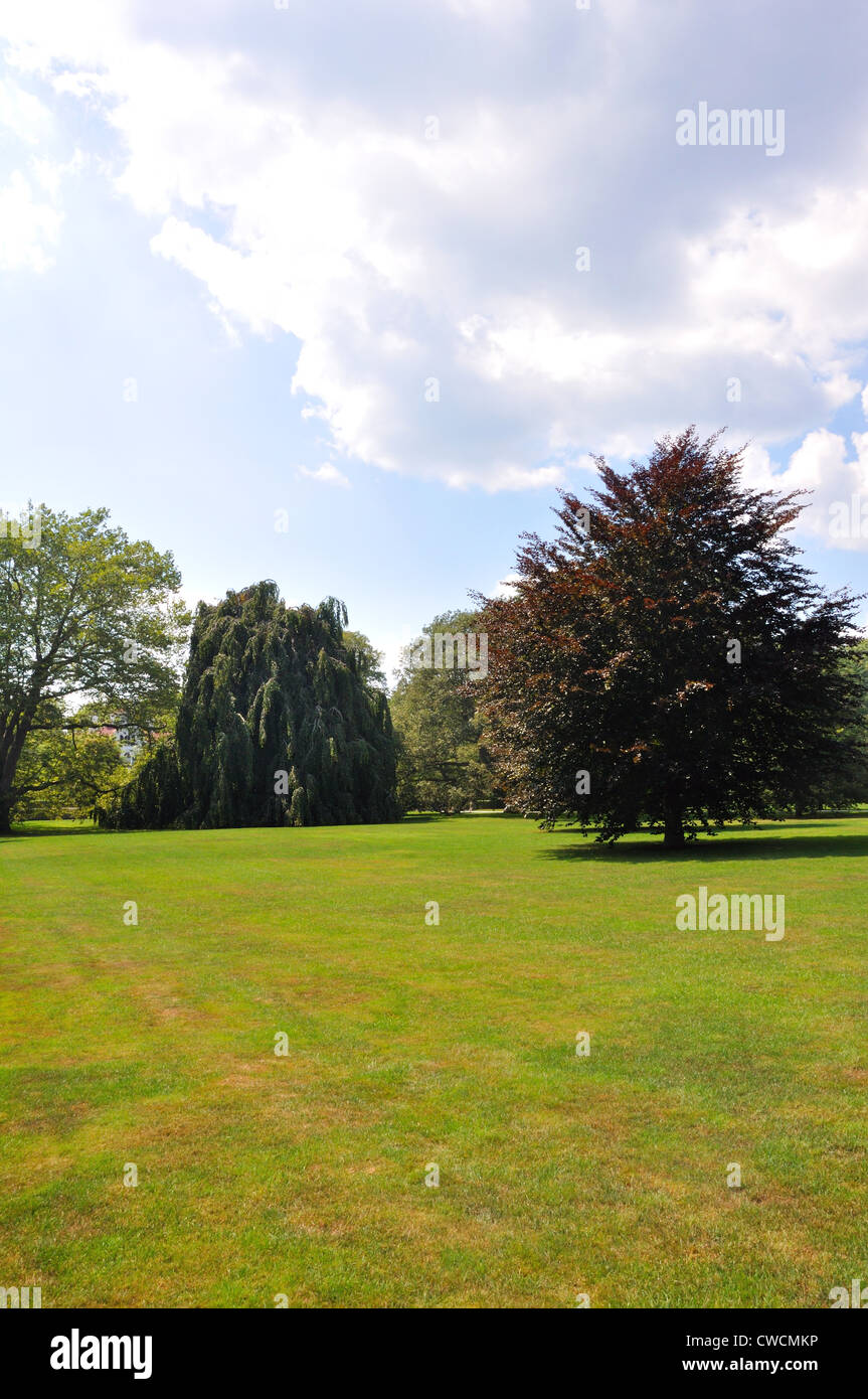 Lawn and trees, New England, USA Stock Photo Alamy