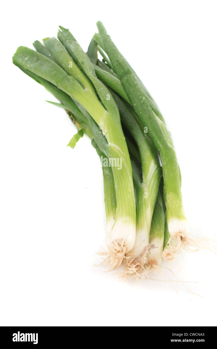 Green onions or scallions on white background Stock Photo