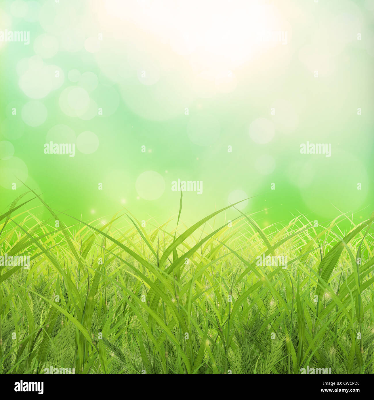 A soft pastel spring grass background Stock Photo - Alamy