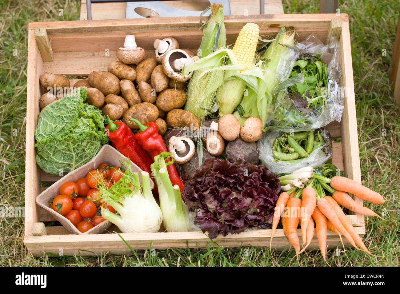 Box of healthy organic vegetables Stock Photo