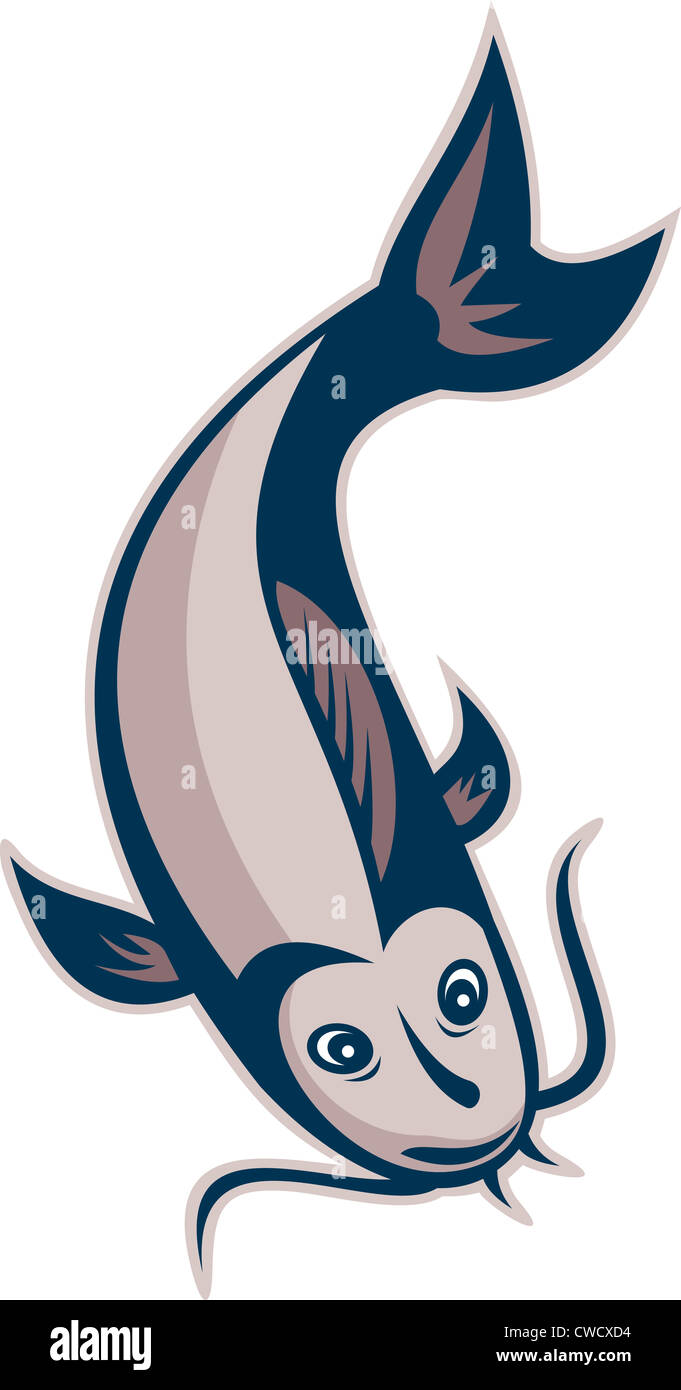 Cartoon style vector illustration of a catfish swimming down on isolated white background. Stock Photo