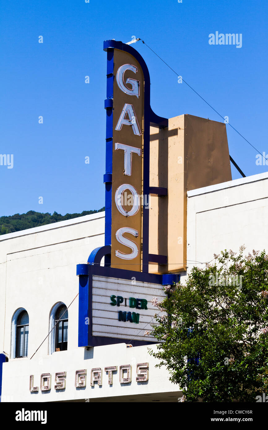 Los gatos hi-res stock photography and images - Alamy