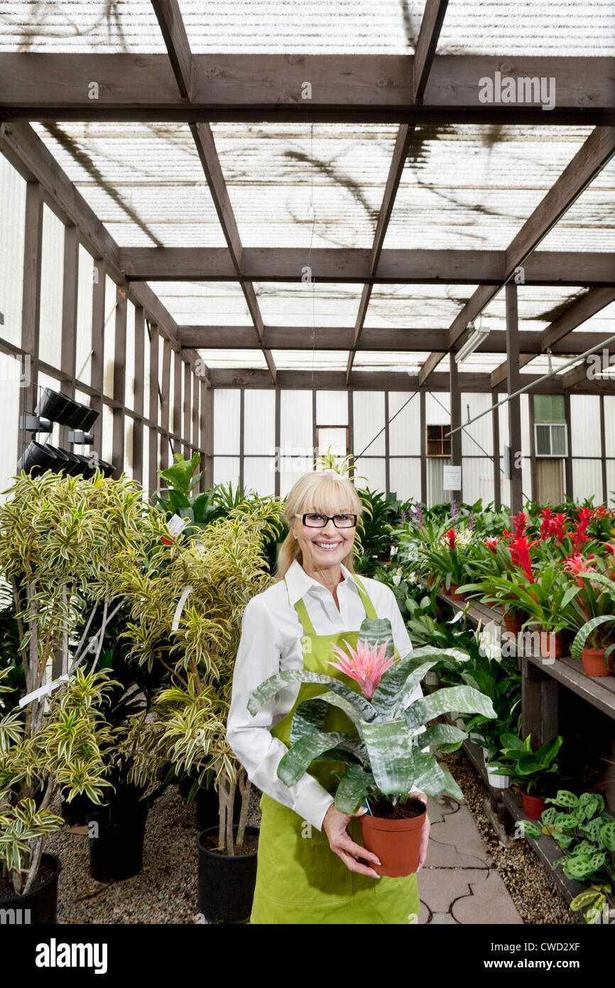 Portrait of a happy gardener holding pot plant in greenhouse Stock ...