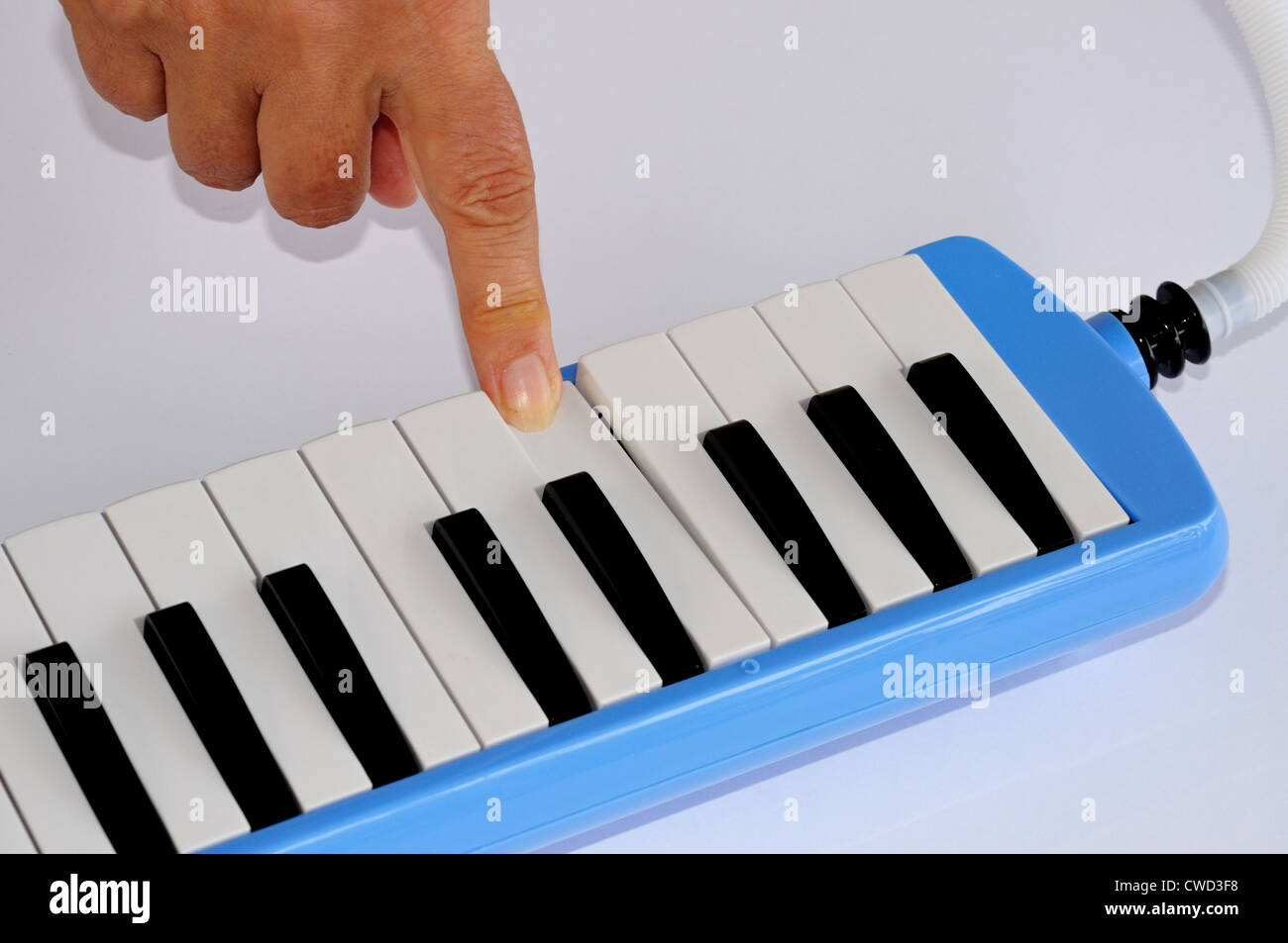 Blue and white Pianica blow organ with finger pressing middle C