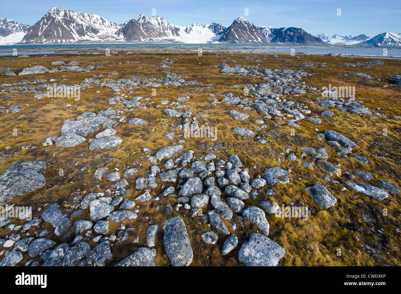 Tundra landscape, Danskoya, Spitsbergen, Svalbard, Arctic Stock Photo