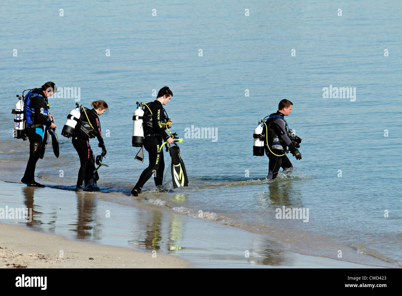 Group of Skin divers entering water from beach Stock Photo Alamy