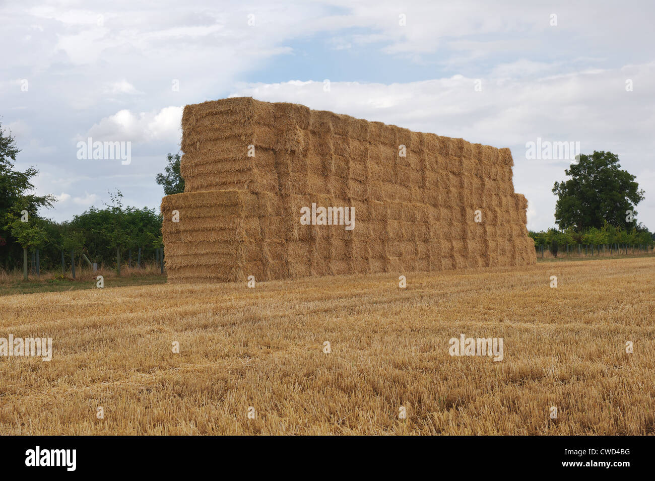 Giant hay stack recently gathered from a wheat field in rural Oxfordshire Stock Photo