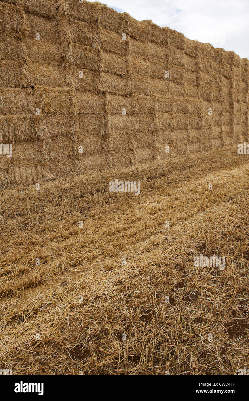 Giant hay stack recently gathered from a wheat field in rural Oxfordshire Stock Photo