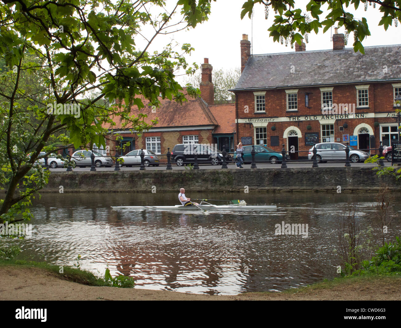 Single male sculler on the Thames at Abingdon along side The Old Anchor public house (pub), Oxfordshire Stock Photo