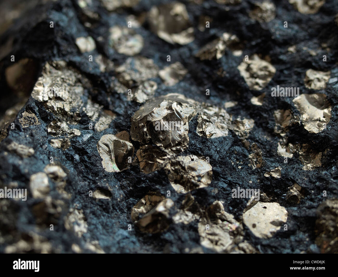 Pyrite embedded in chalcocite. Photograph covers area that is approximately 17 millimeters wide and 13 millimeters high. Stock Photo