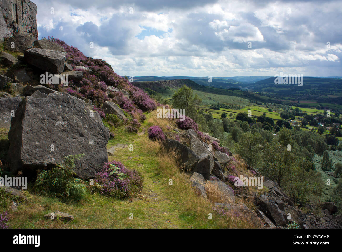 Gritstone rocks and purple Curbar Edge, Peak District, Derbyshire Stock Photo