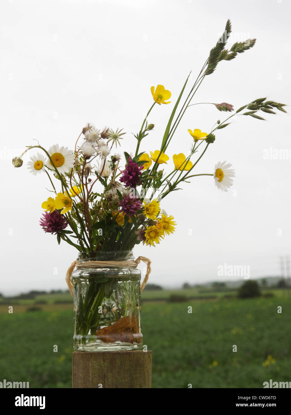 Fence post flowers hires stock photography and images Alamy