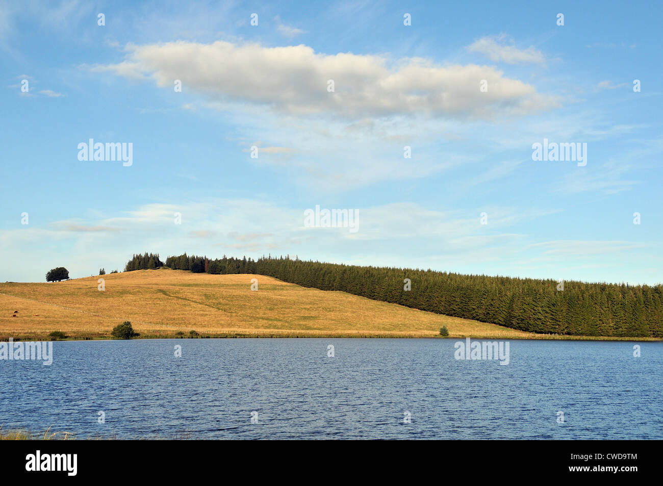 Bourdouze lake, Cezallier, Puy de Dome, Auvergne, Massif Central, France Stock Photo