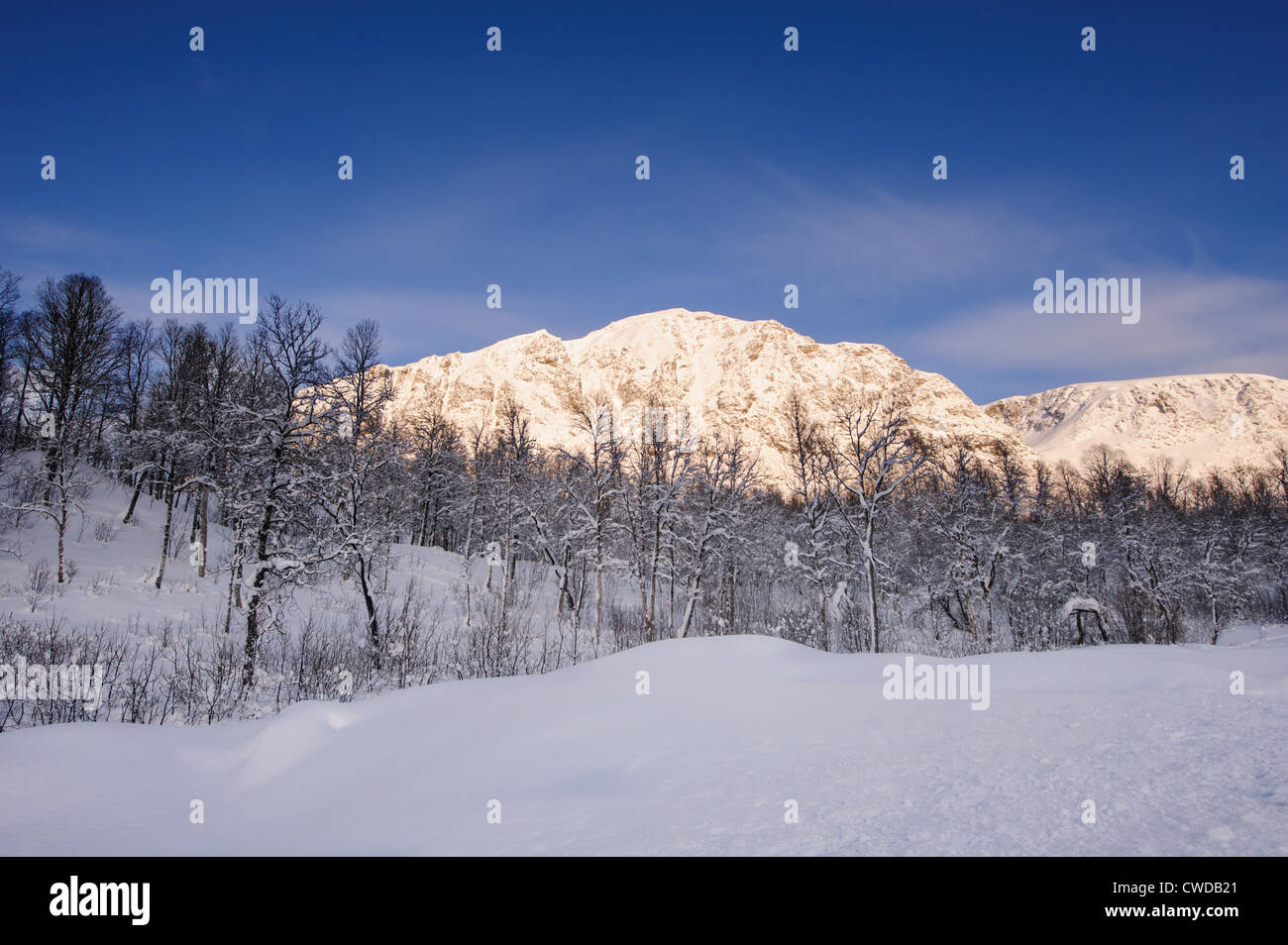 Winter landscape in Northern Norway Stock Photo
