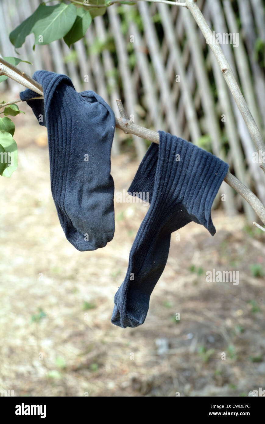 bamboo womens leggings