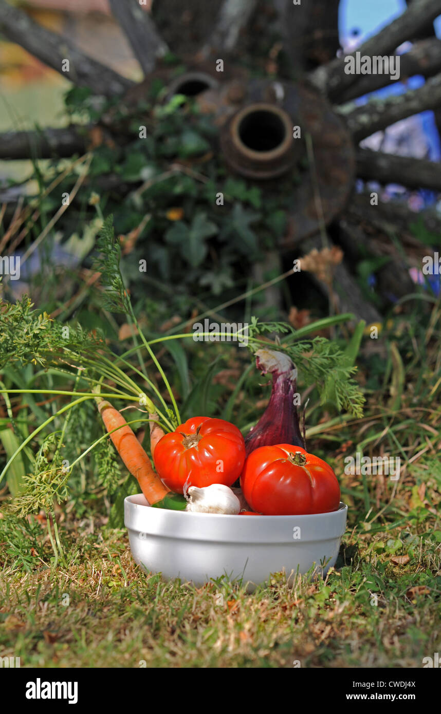 Typical produce of tomatoes carrots garlic red onions from the Lot Region of South West France Europe  Photo Simon Dack Stock Photo