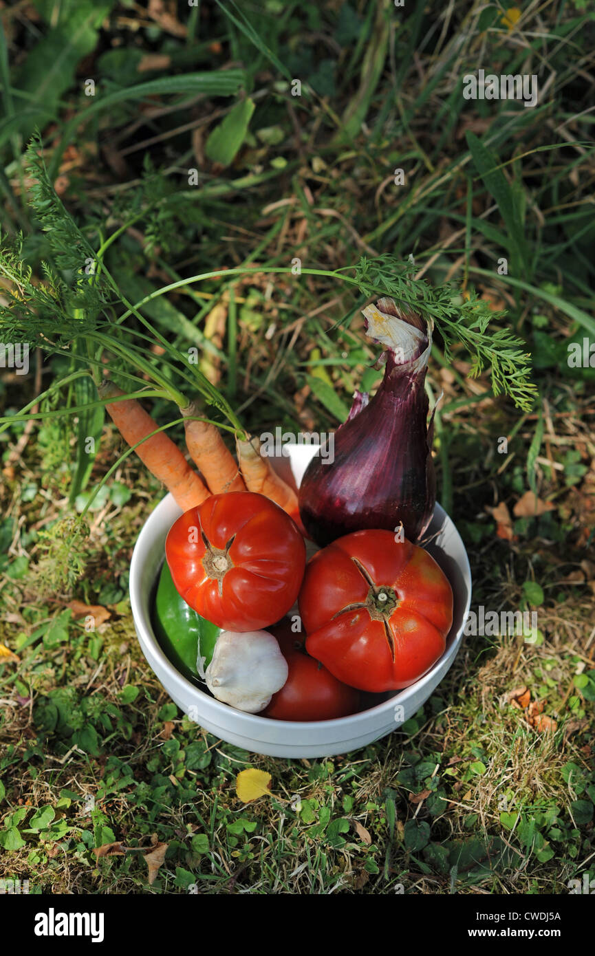 Typical produce of tomatoes carrots garlic red onions from the Lot Region of South West France Europe  Photo Simon Dack Stock Photo